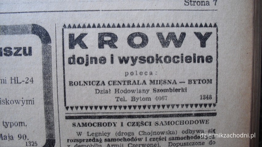 Zobaczcie reklamy prasowe z lat. 40, czyli rutynowani księgowi i krowy wysokocielne [ZDJĘCIA]