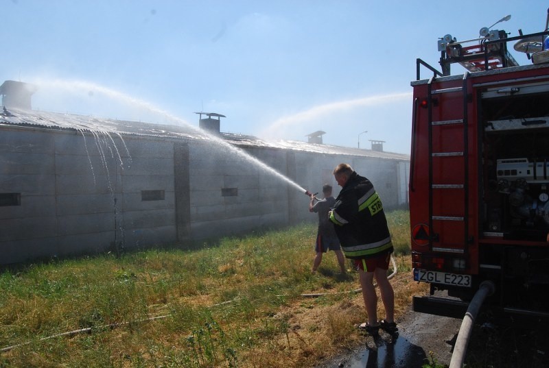 Pożar hali w Redle