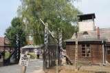 Zniszczono drzewo poświęcone ocalałemu z obozu koncentracyjnego Mittelbau-Dora