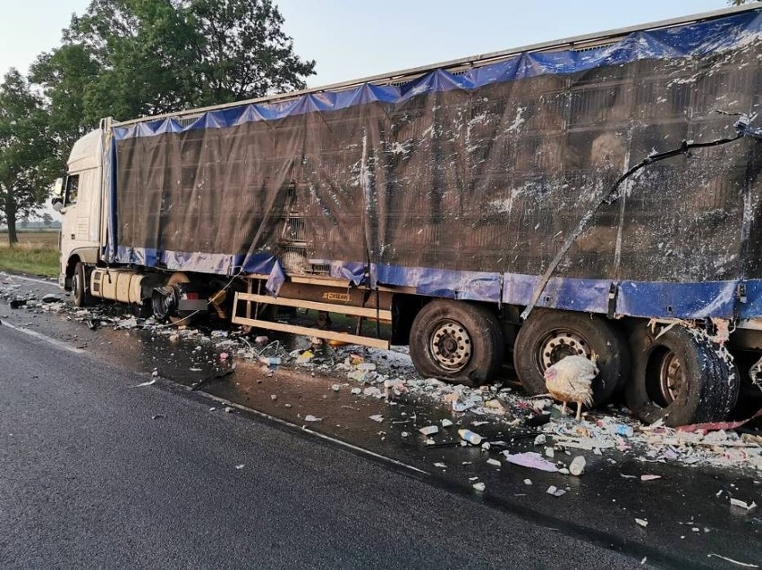 Wypadek w Gnojewie w gm. Miłoradz! 21.07.2021 r. Jedna osoba ranna w zderzeniu dwóch ciężarówek na dk 22. Jedną z nich przewożono indyki