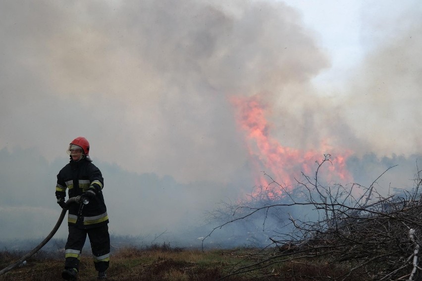 Dromader gasi z powietrza (zdjęcia)