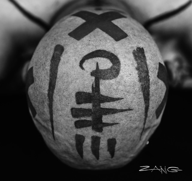 "Zang" to pierwszy solowy album Glacy.