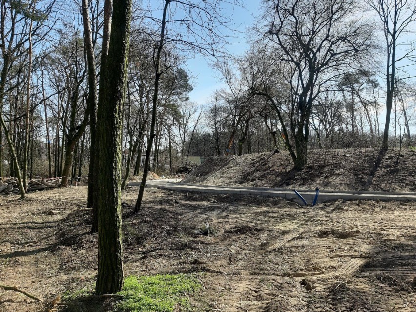 W Świdniku powstaje park linowy z tężnią i innymi atrakcjami. Kiedy otwarcie? 