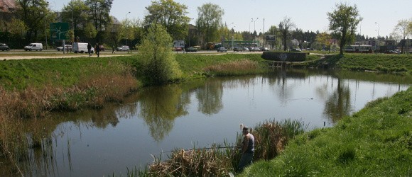 Miejscy urzędnicy podkreślają, że prace przy oczyszczaniu Jeziorka Słonecznego to m.in. efekt skarg odwiedzających to miejsce na przykry zapach wydobywający się ze zbiornika.