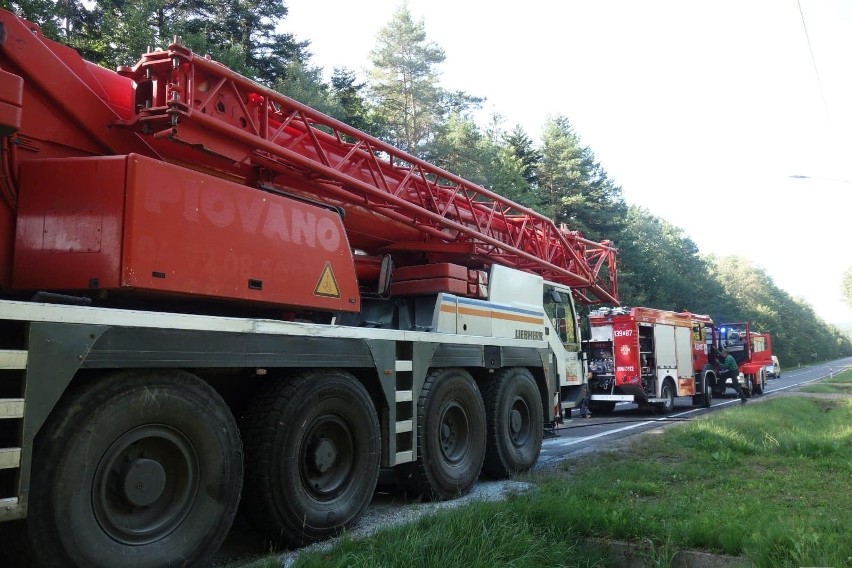 Pożar dźwigu na krajowej "42" w Odrowążu. Pojazd w ogniu (ZDJĘCIA)