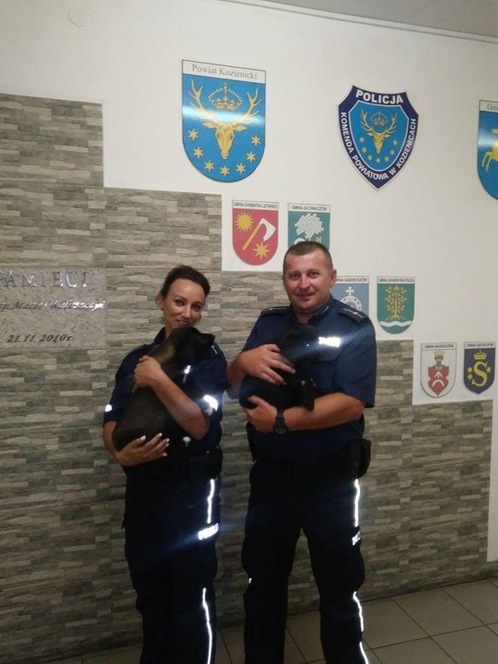 Policjanci z Kozienic uratowali porzucone szczeniaki.
