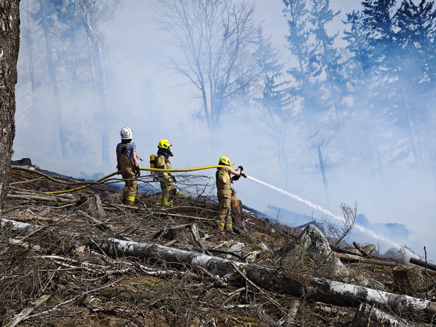 Spłonęło kilkadziesiąt arów lasu Gór Sowich.