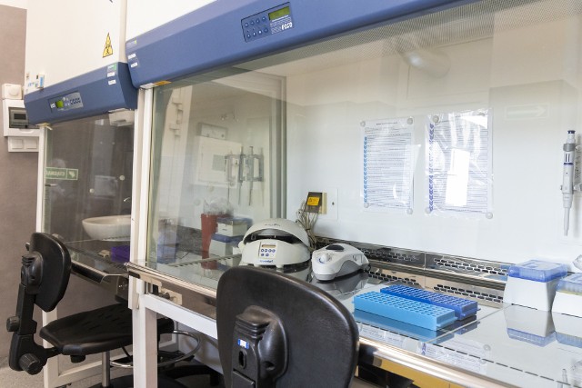 W bydgoskim laboratorium molekularnym znajduje się w wysokiej klasy specjalistyczny sprzęt, w tym automatyczna stacja pipetująca Nimbus, która umożliwia szybką izolację kwasów nukleinowych oraz składanie reakcji real time PCR znacznie skracając czas wykonania analizy. Jednorazowo aparat może przebadać aż 72 próbki.