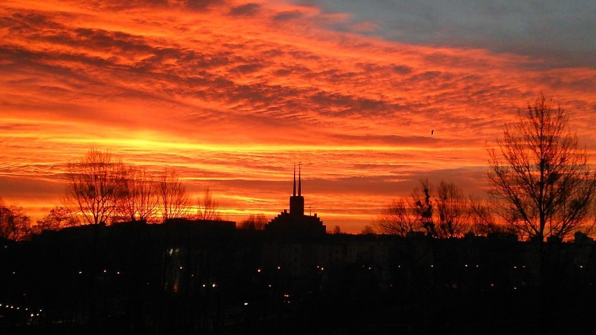 Światowy Dzień Fotografii - oto zdjęcia, z które zrobili nasi czytelnicy i są z nich dumni [ZDJĘCIA] 