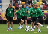 Mecz Polska – Irlandia: Co trzeba wiedzieć o kadrze Irlandii? [ELIMINACJE EURO 2016]
