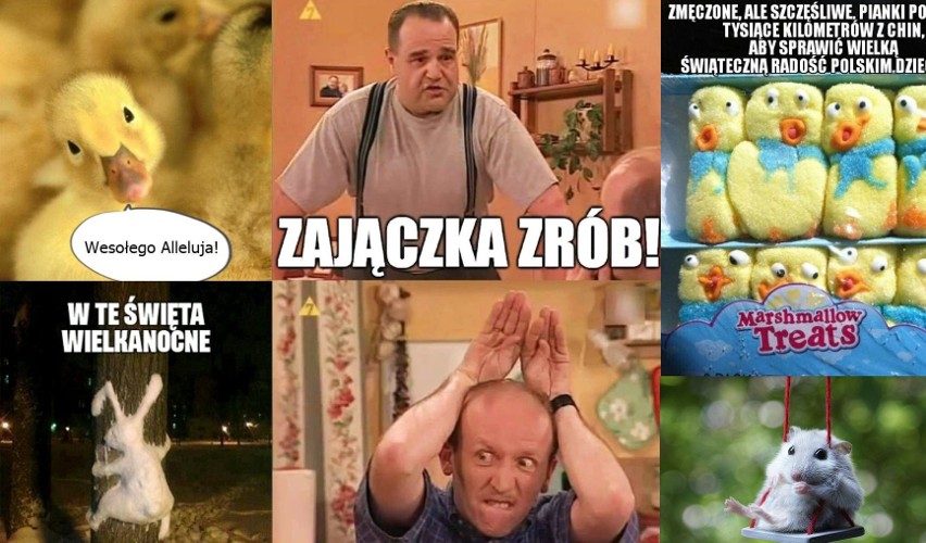 Nowe MEMY na Wielkanoc. Zrób zajączka! Zobacz najlepsze...