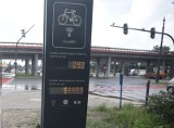 450 tysięcy złotych kosztowało liczenie rowerzystów!
