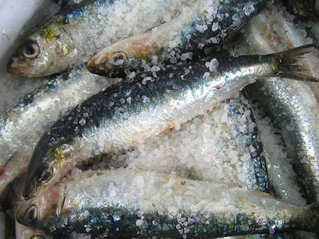 Przy zakupie ryb mrożonych należy upewnić się czy jest to ryba mrożona czy mrożona glazurowana.