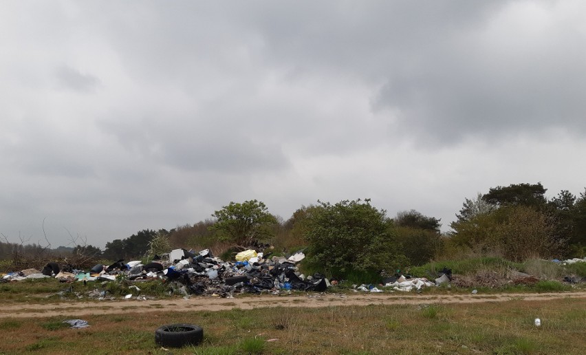 Góry śmieci na polach w Okuninie w gminie Sulechów. O...