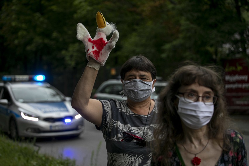 Protest pod siedzibą Związku Łowieckiego. "Stop polowaniom na ptaki, niech lecą!"