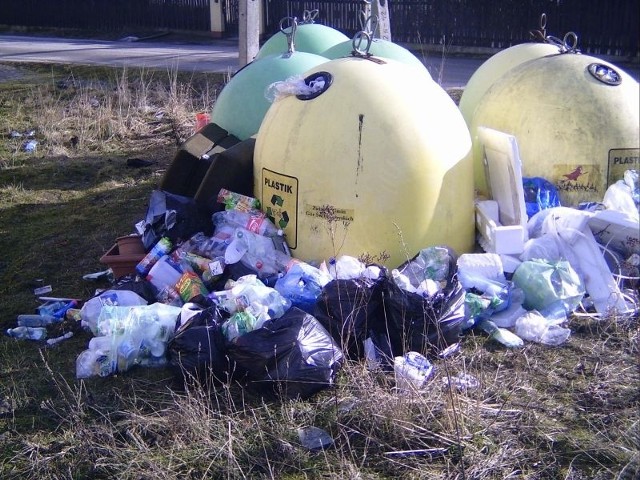 Taki obrazek można ujrzeć w Domaszowicach. Po naszej interwencji wójt gminy Masłów zapewnił, że bałagan natychmiast zostanie uprzątnięty.