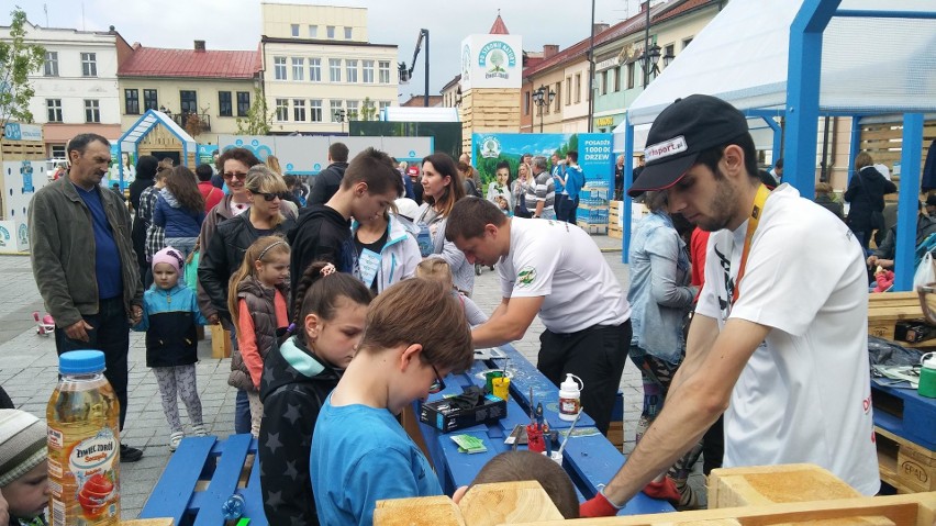 Piknik Po Stronie Natury w Żywcu. Atrakcje na rynku, a w parku sadzenie drzew ZDJĘCIA