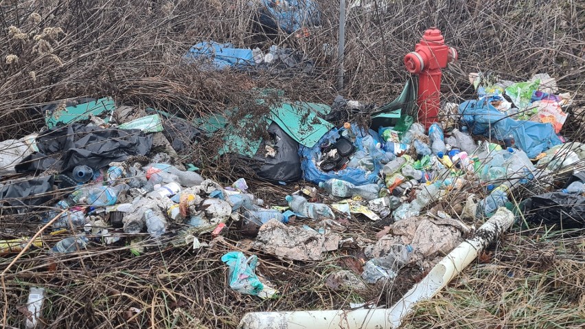 Na nielegalnym wysypisku śmieci w Kokotowie znaleziono...