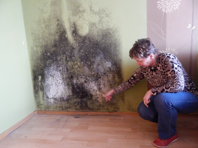 Irena Mirczyńska pokazuje ogromną plamę wilgoci w swoim mieszkaniu. Uważa, że problemem jest dach bloku, który trzeba załatać.