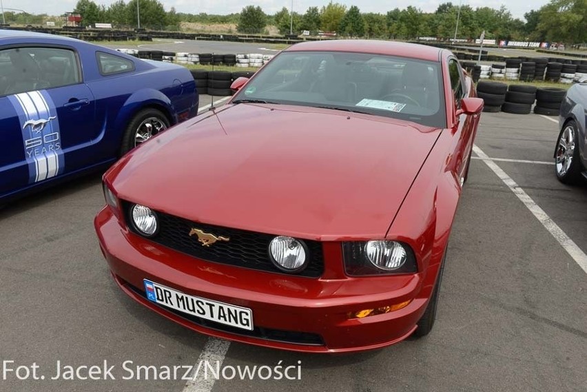 Mustang Race 2014 w Toruniu [zdjęcia]