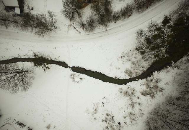 Orchowiec w powiecie krasnostawskim