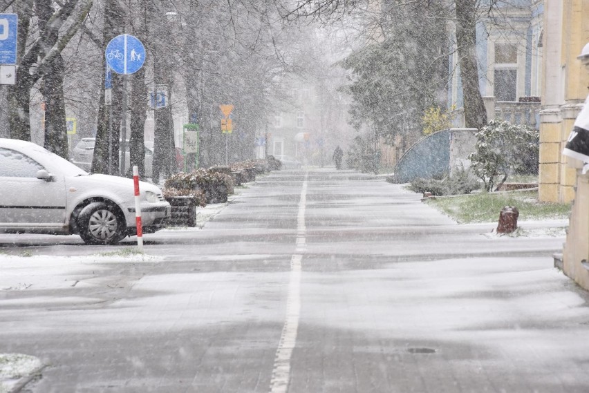 Średnia temperatura obszarowa za grudzień to 1.9 stopnia...