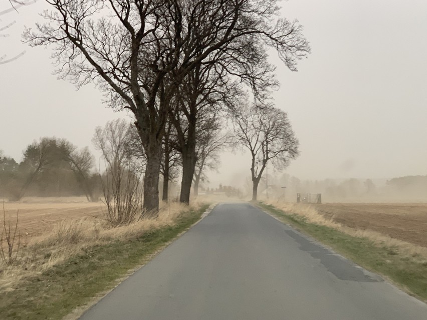 Burze piaskowe w Dolinie Wisły. Tak działo się w różnych...