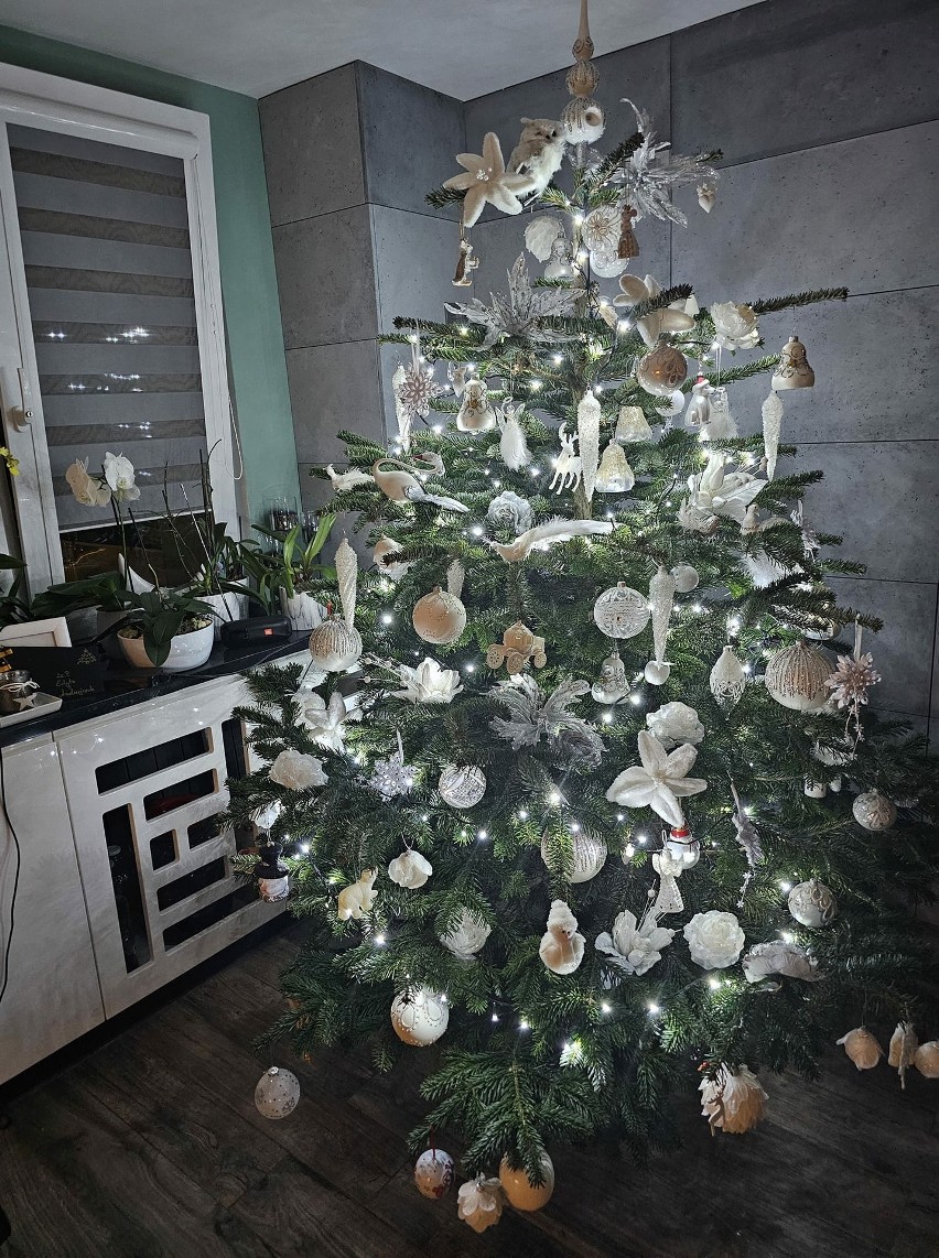 Boże Narodzenie 2024: Domy internautów gotowe na święta - zobaczcie zdjęcia choinek