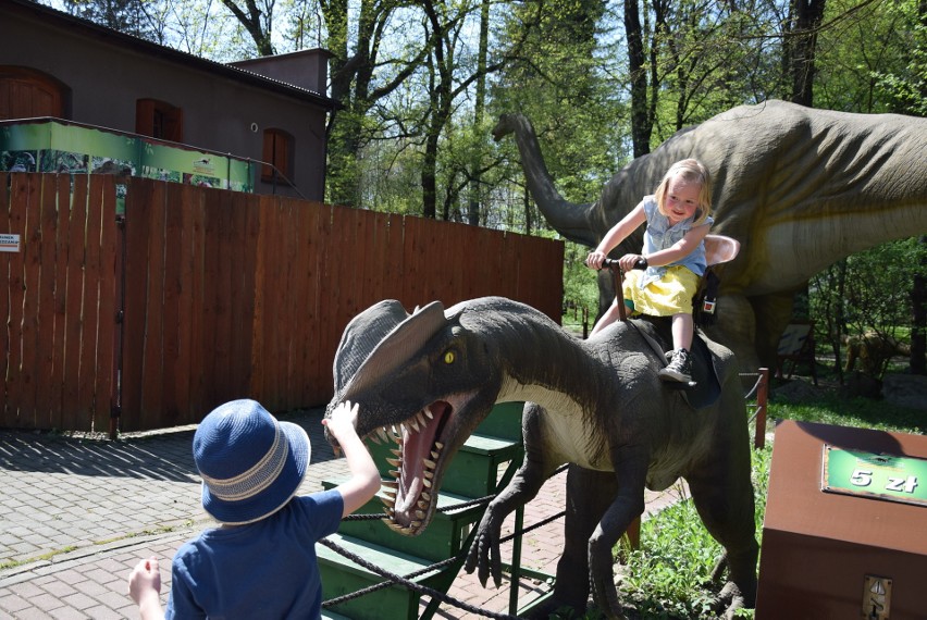 Z zimowego snu obudziły się dinozaury w Zatorlandzie. Dołączył do nich największy jaki żył i jaki wybudowano na świecie [ZDJĘCIA, WIDEO] 