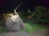 Połamane drzewa, zerwane dachy w powiecie kazimierskim. Pracowita noc strażaków 