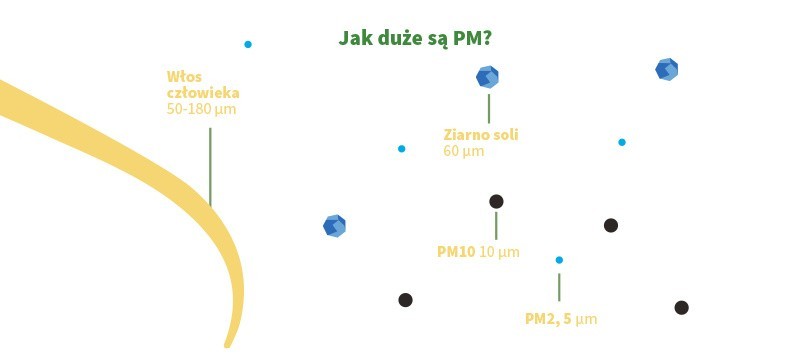 10 mało znanych faktów o smogu w Krakowie i strefie czystego transportu