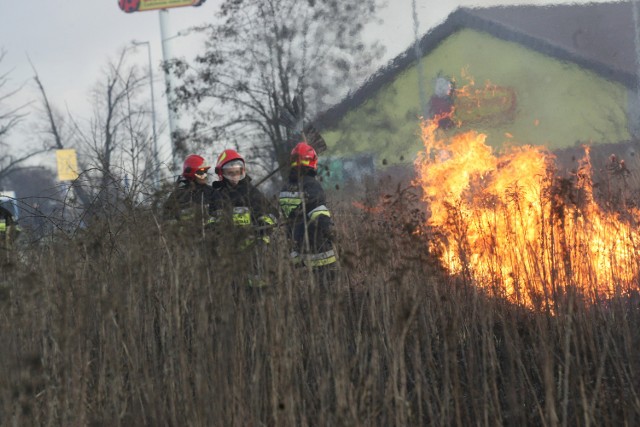 Wypalanie traw, łąk i nieużytków rolnych jest zabronione.