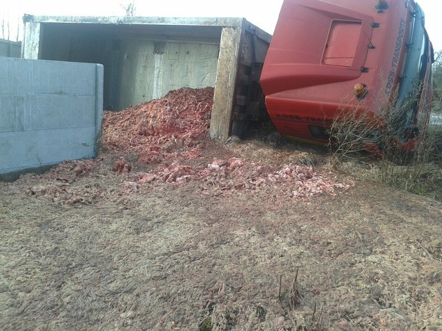 Przewożone odpady mięsne wysypały się na z pojazdu.