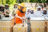 Sekretne życie pszczół w Fabryce Pełnej Życia w Dąbrowie Górniczej. Rodzinne spotkania czekają