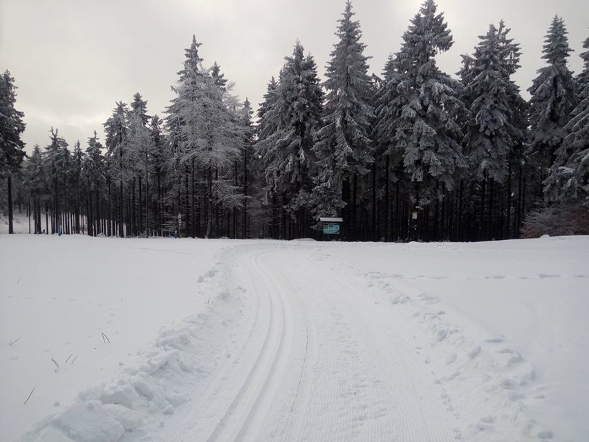 Góry Sowie - świetne warunki do narciarstwa biegowego....