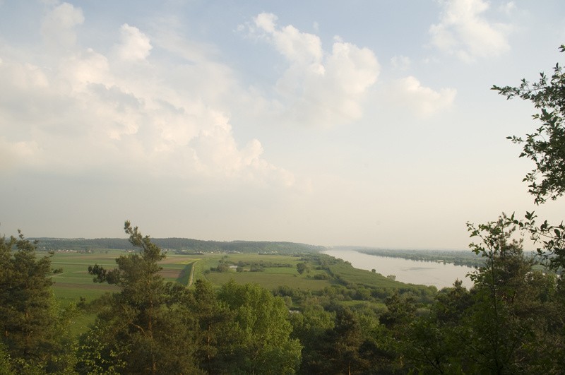 Panorama z punktu widokowego  w Zakurzewie