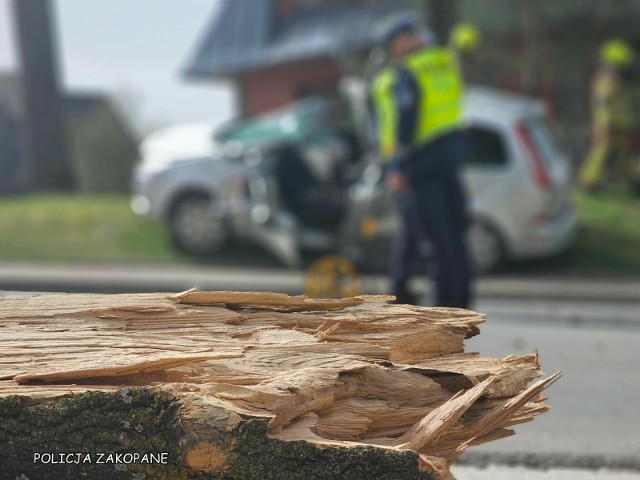 Drzewo, które runęło na samochód na Stachoniach w Zakopanem