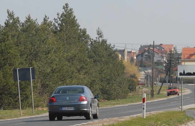 Choinki zasadzone w 1992 roku zostaną wycięte. Zastąpi je aleja dębów.