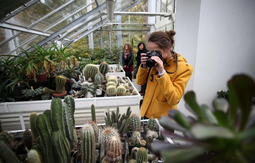 Photo Day w Ogrodzie Botanicznym. Nieznane strony "Botanika" [ZDJĘCIA]