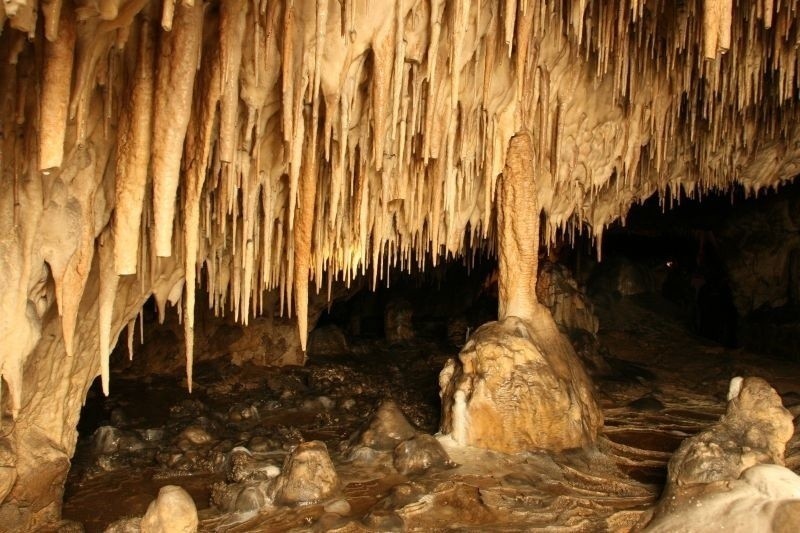 Jest to wapienna jaskinia krasowa, która znajduje się w...