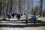 5 malowniczych tras na wiosenną wędrówkę w Beskidzie Śląskim. Opolanie uwielbiają tam jeździć! Gdzie warto się wybrać? Zobacz ZDJĘCIA