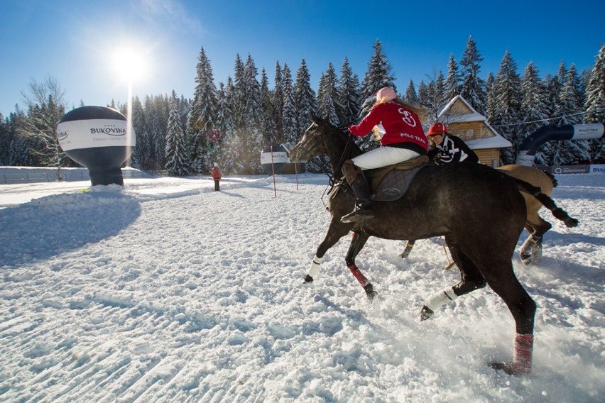 Bukovina Polo Snow Masters, czyli widowiskowe rozgrywki na śniegu [ZDJĘCIA]