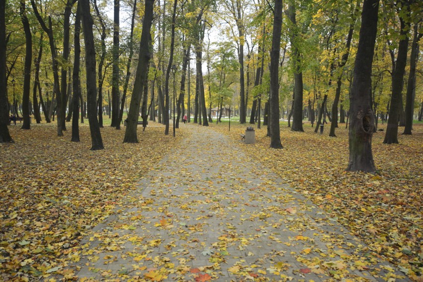 Jesień w Parku Zdrojowym w Busku-Zdroju. Jak wygląda? ZDJĘCIA