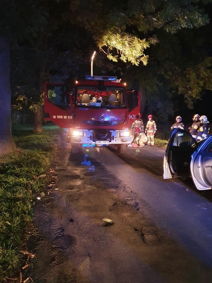 Do wypadku doszło około godziny 19. W Strzelcach (gmina...