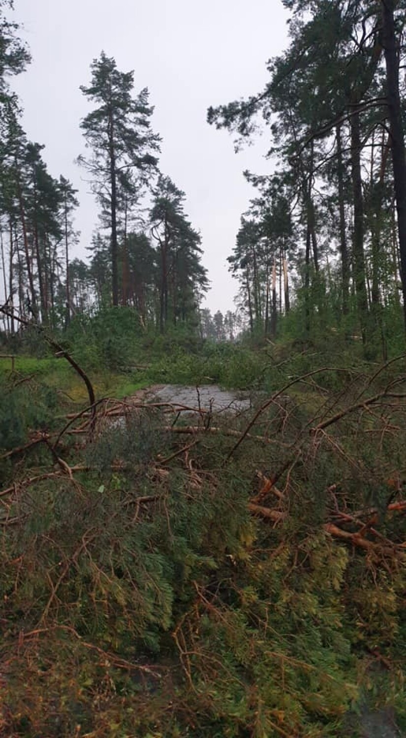 Ewakuacja obozu harcerskiego na Pomorzu! Dzięki szybkim działaniom strażaków udało się uniknąć tragedii