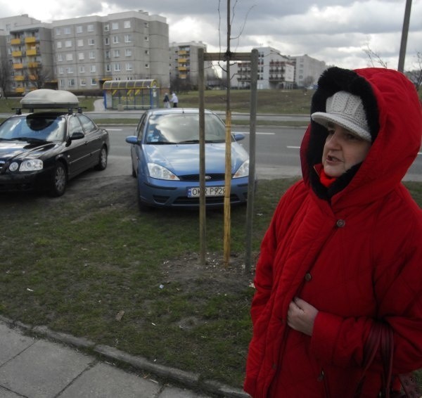 - Nie dość, że rozjeżdżają trawniki, to jeszcze zmniejszają widoczność na drodze - mówi Krystyna Jurczyńska.