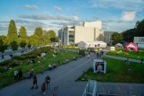 48. Festiwal Polskich Filmów Fabularnych w Gdyni. Na półmetku filmowej podróży