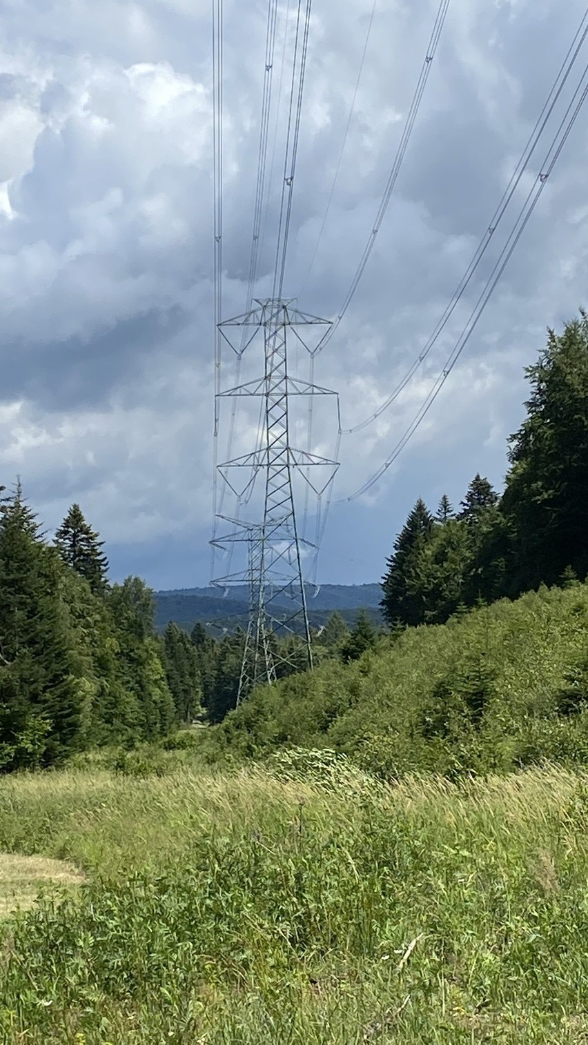 PSE zmodernizują linię 400 kV z Iskrzyni k. Krosna na Słowację. Prace budowlane mają ruszyć w połowie roku