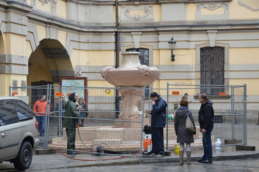 Szermierz zniknął sprzed Uniwersytetu Wrocławskiego