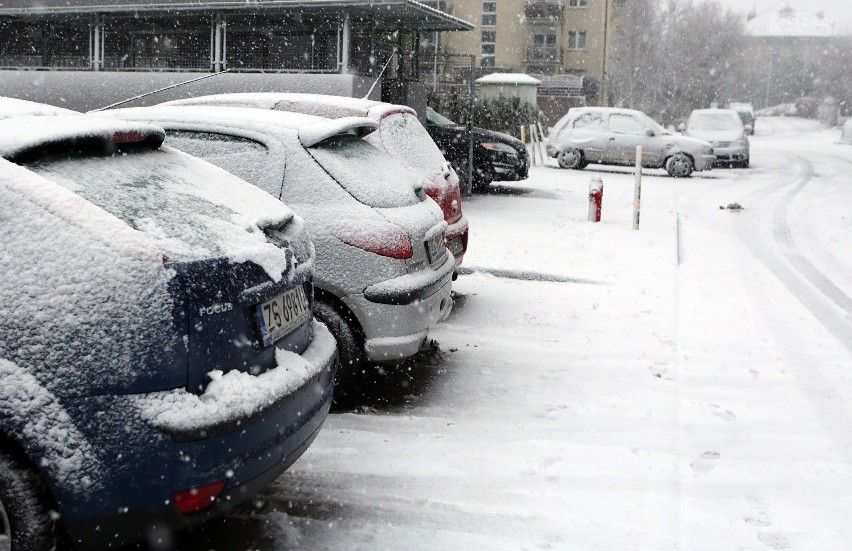 Zima w Szczecinie. Kierowcy narzekają, dzieci (również te starsze) się cieszą [ZDJĘCIA]